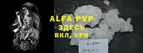 гидра Володарск