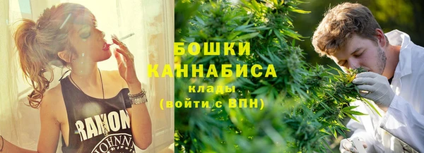гидра Володарск