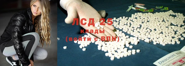 гидра Володарск