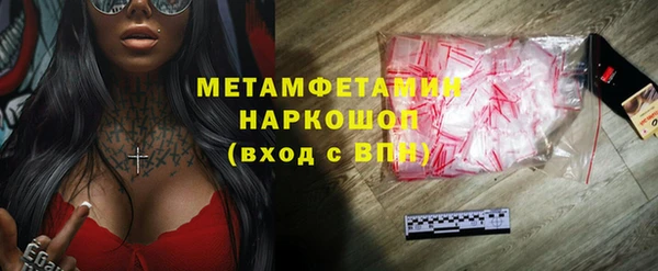 гидра Володарск